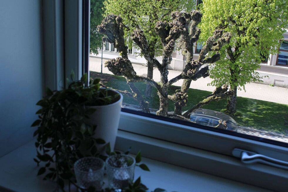 Livet utanfor.
 Foto: Madeleine Hamn