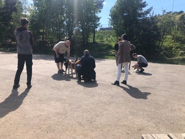 - En ulykkelig hund er en farligere hund