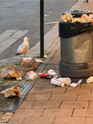 Ein godt eksempel på kor overfylte dei aller fleste søppelbøttene rundt om i sentrum var etter 17. mai
 Foto: Jakob Ulvund