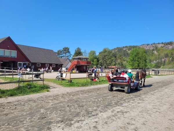 Hestens dag på Hortemo travbane