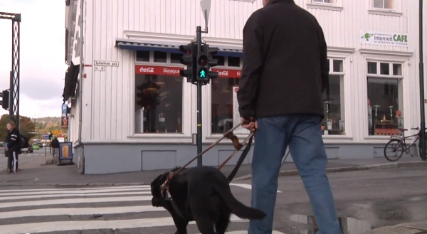 Farlig for blinde og svaksynte i bybildet