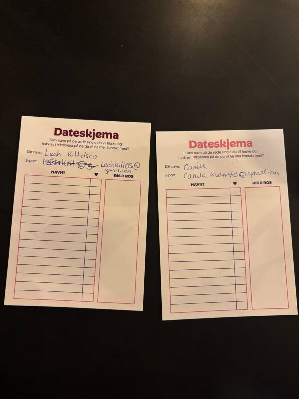 Satser på speeddating.