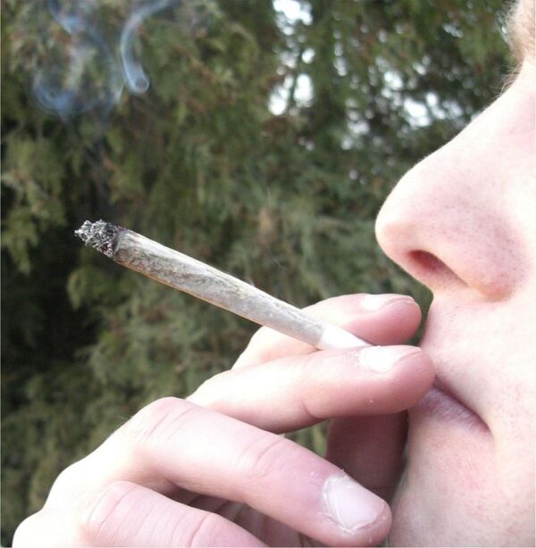 Cannabis kan gi livsvarige skader