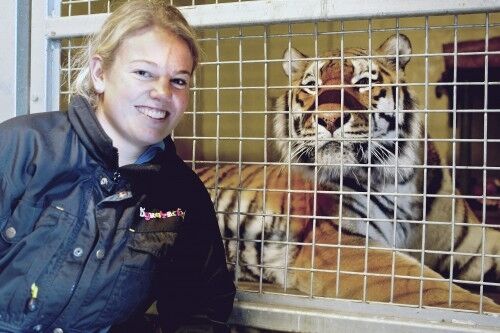 Helene Axelsen er utdannet biolog og jobber med alle dyrene i Dyreparken. Her er hun sammen med tigeren Ulysses.