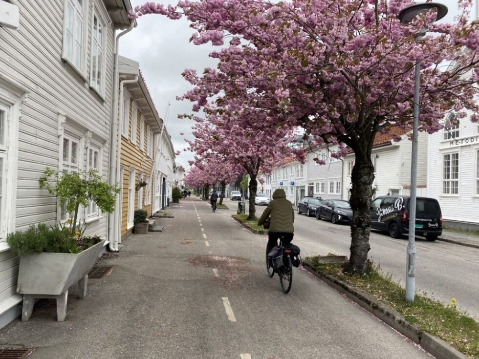 Her ser du en av sykkelstiene i Kristiansand sentrum.  Foto: Malene Nilsen