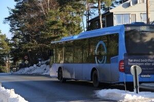Her kommer rutebussen for å hente frosne passasjerer Foto: Richard Julius Piepenhagen