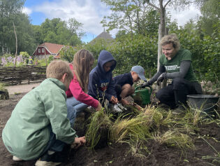 Naturmuseum og Botanisk hage underviser den neste generasjonen