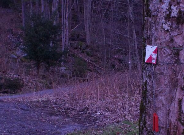Jakten på de røde og hvite postene i en grønn vinter